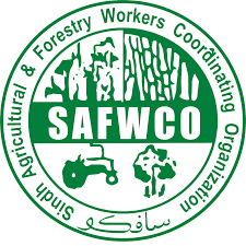 Sindh Agriculture & Forestry Workers Coordinating Organization — SAFWCO